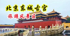 操逼过程出水中国北京-东城古宫旅游风景区